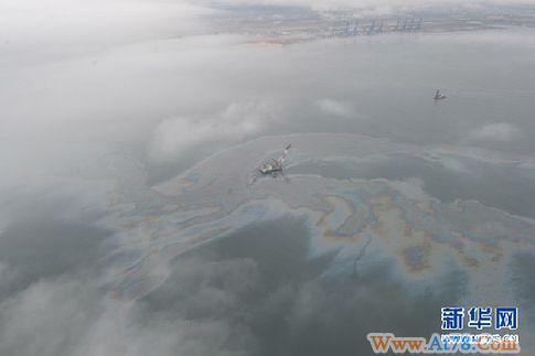 大连清除海洋污染作业积极有效