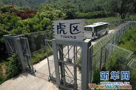 西安动物园老虎咬死游客事件猛兽区管理员被批捕(图)