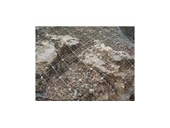 专业生产优质主动防护网