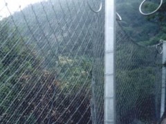 供应被动防护网