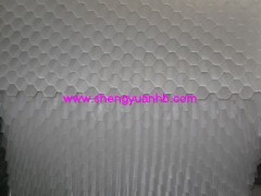 供应斜管填料,蜂窝填料,斜管,石家庄圣源水处理 供应斜管填料,蜂窝填料,斜管,石家庄圣源水处理