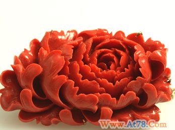 中国富裕阶层日本抢购红珊瑚 价格疯涨业者担忧