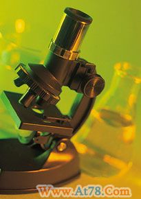 显微镜