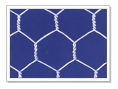 l六角网 养殖网 防护网 围网