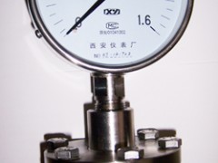 YTP—150耐腐隔膜压力表