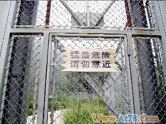 西安老虎吃人动物园已整改检察官建议增设警铃