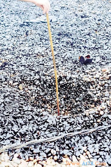 大连漏油已深入海滩下三大养殖海域可能受影响