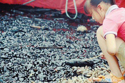 大连漏油已深入海滩下三大养殖海域可能受影响