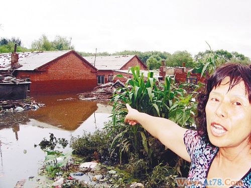 辽宁遇一级暴雨灾害细河决堤200民宅被淹(图)