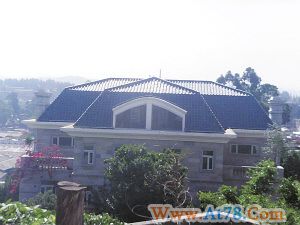 村支书开宝马住豪宅网友发帖称其卖地敛财(图)