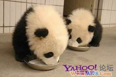 美国的堵车,素质大比拼!