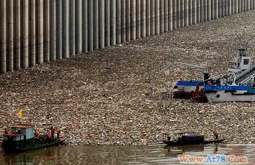 三峡坝区附近江面堆满了从上游冲刷下来的漂浮物。另外,也不排除部分地区人为堆积垃圾,被冲入河道后形成漂浮物。
