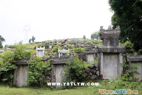 专家认定陈圆圆葬于贵州墓冢现已被盗空