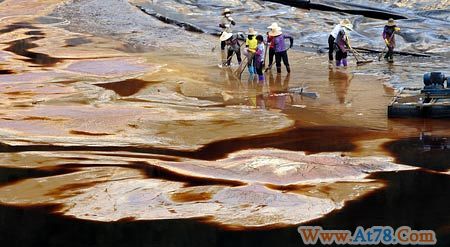 福建汀江去年已现死鱼现象居民多年不喝自来水