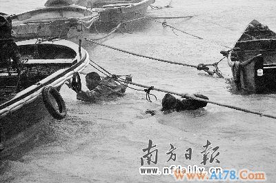 台风灿都昨日登陆广东7.2万人紧急转移