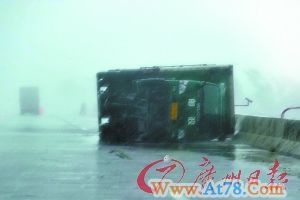 台风致湛江多处广告牌树木被连根拔起(组图)