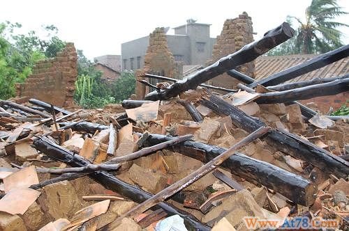 台风致湛江多处广告牌树木被连根拔起(组图)