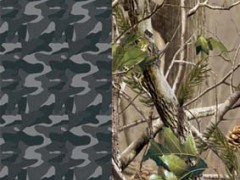 无纺布氨纶布牛津布斜纹布桃皮绒色丁网眼布超柔等面料印花加工