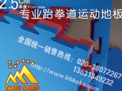 厂家低价供应佛山优质跆拳道垫