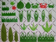 绿叶片、寿司草、山形绿叶片