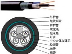 4芯光缆6芯光缆8芯光缆12芯光缆报价 4芯光缆6芯光缆8芯光缆12芯光缆报价