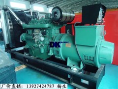 深圳盐田区柴油发电机组