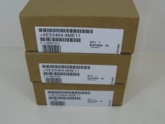 EM223模块6ES7223-1HF22-0XA0