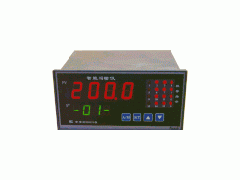 供应智能多点巡检仪