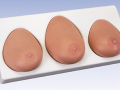 高级乳房检查模型,乳房肿瘤检查模型,女性乳房检查模型 高级乳房检查模型,乳房肿瘤检查模型,女性乳房检查模型