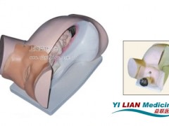 分娩机转示教模型,分娩模型,分娩示教模型 分娩机转示教模型,分娩模型,分娩示教模型