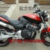 特价销售各种进口摩托跑车本田小黄蜂250