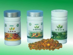 山西五台山沙棘油