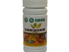 厂家供应沙棘籽油沙棘果油