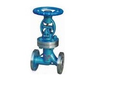 国标波纹管截止阀