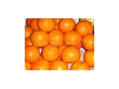 厂家供应优质辛弗林盐酸盐98%