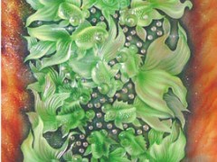 冰晶画技术(免费）+设备转让59800