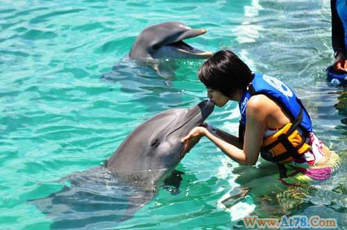 梁咏琪与海豚亲吻晒一身阳光肤色感觉开心(图)