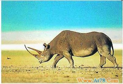 要想理财必看！八则故事教会你如何理财