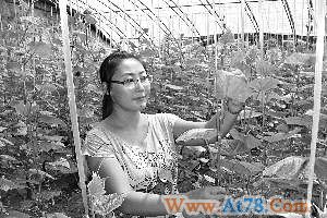 24岁女大学生回村种菜 承包大棚年赚24万(图)