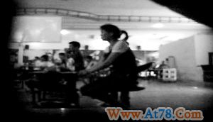 海南儋州一处斗鸡城重操赌业(组图)