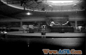 海南儋州一处斗鸡城重操赌业(组图)