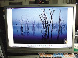 全国摄影艺术展览金奖作品被指剽窃(组图)