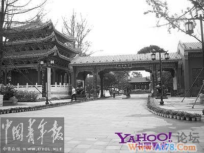 成都被毁稻田上建起别墅群