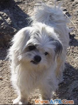 球球，你在那里还好吗