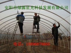 日光温室大棚支架、日光温室大棚骨架、养殖大棚支架机-安阳绿源 日光温室大棚支架、日光温室大棚骨架、养殖大棚支架机-安阳绿源
