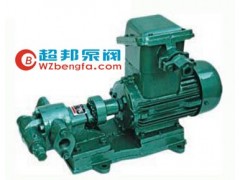 齿轮输油泵 齿轮输油泵