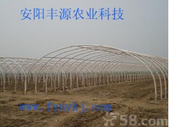 安阳丰源农业供应大棚骨架设备