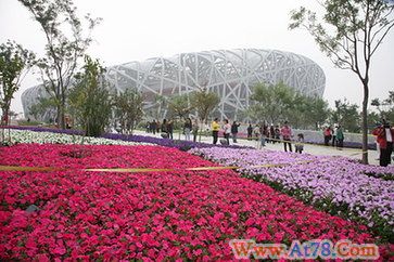 北京跻身全球大城市第15位 位列中国内地城市之首