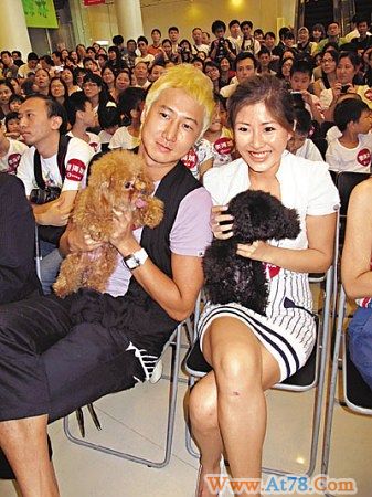 洪天明求婚像有难言之隐 以刘德华为榜样(图)