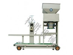 石家庄25kg粉剂自动包装机